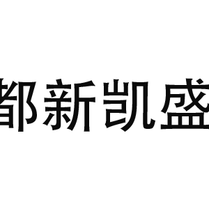 商务接待用什么车？新凯盛的接待分级标准是怎么定出来的
